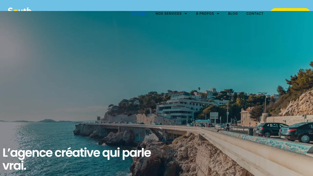 Screenshot of South Management