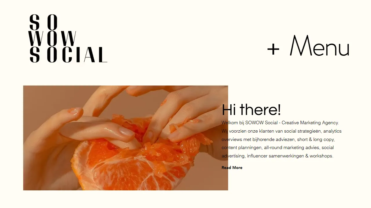 Screenshot of SOWOW Social & Studio