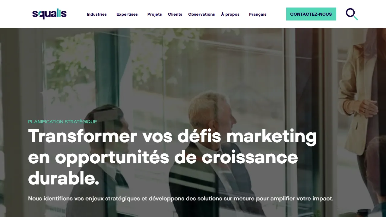 Screenshot of Squalls Marketing