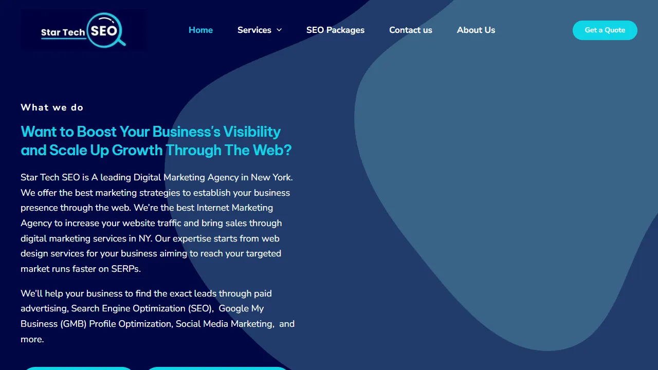 Screenshot of Star Tech SEO - Digital Marketing Agency New York