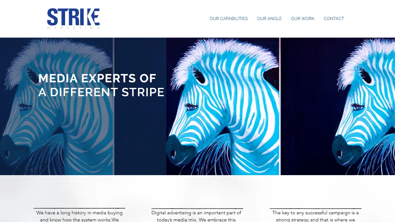 Screenshot of Strike Marketing