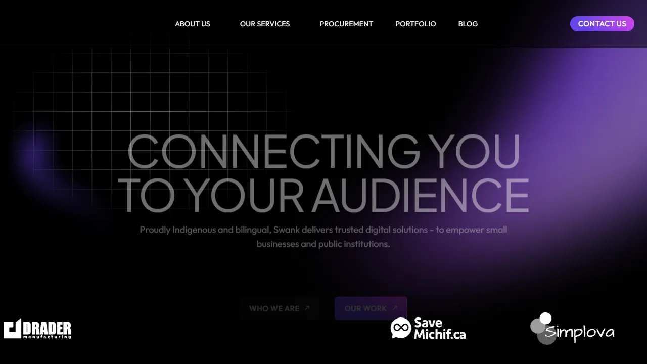 Screenshot of Swank Business Solutions