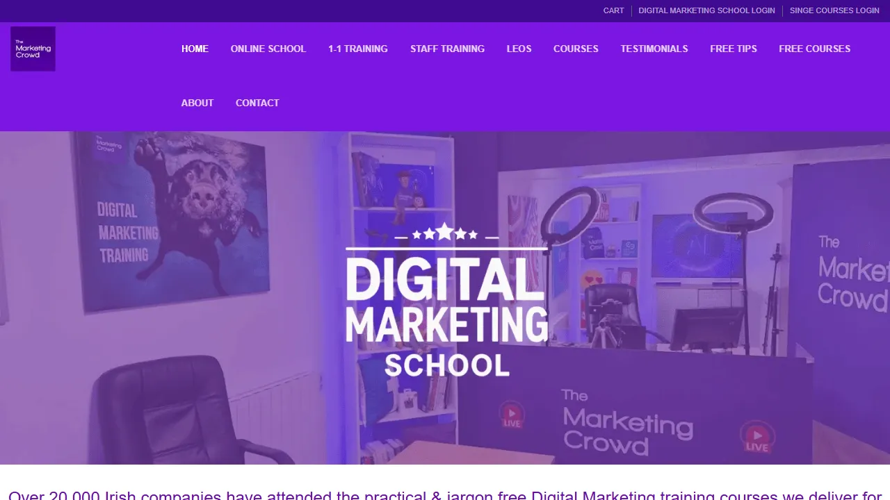 Screenshot of The Marketing Crowd