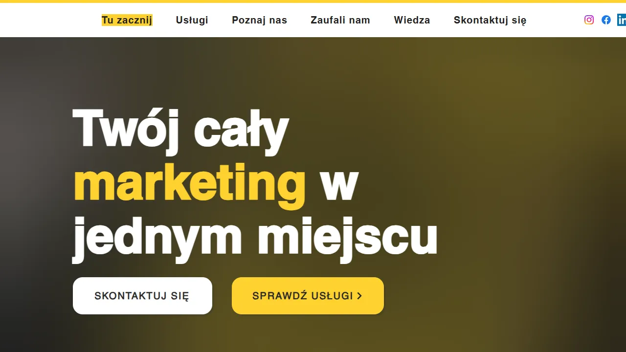 Screenshot of TLB ONLINE Agencja Marketingowa