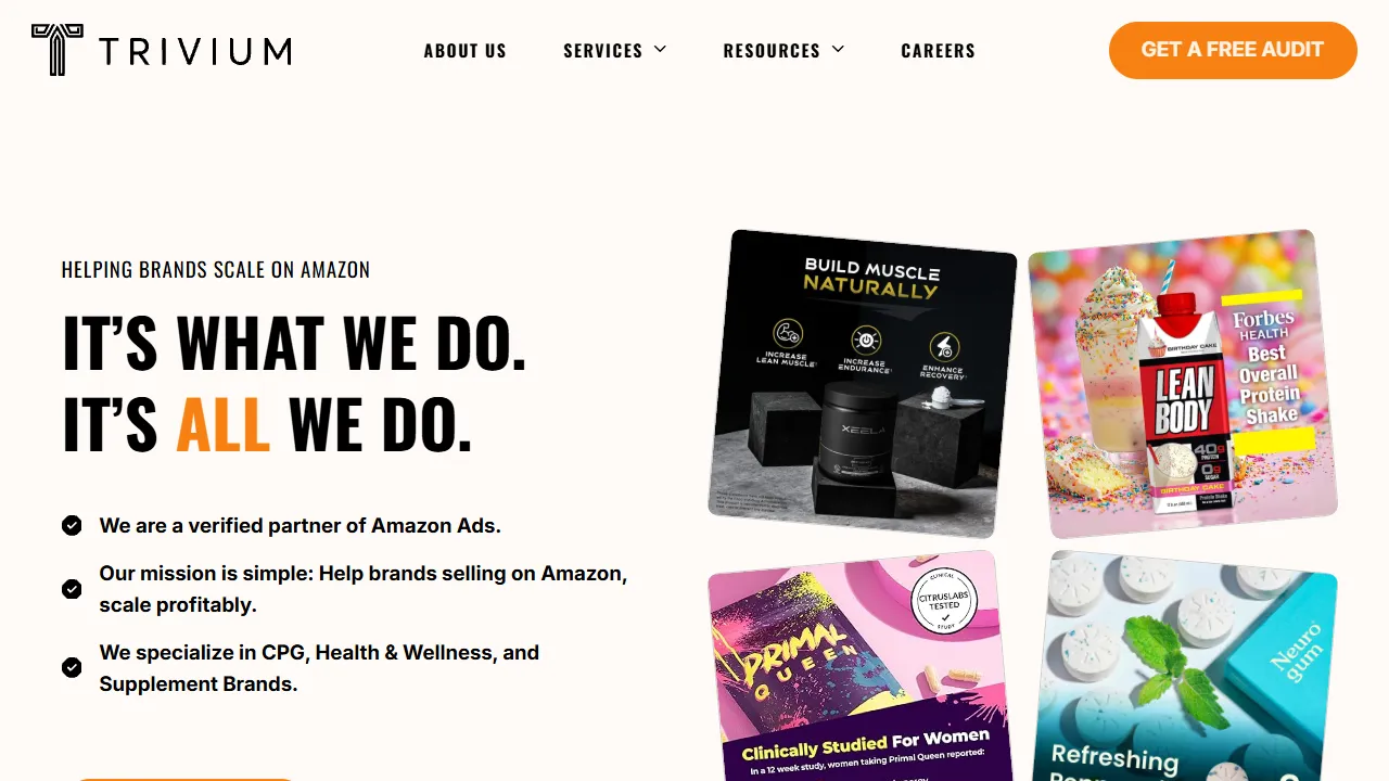 Screenshot of Trivium Group - Amazon Agency