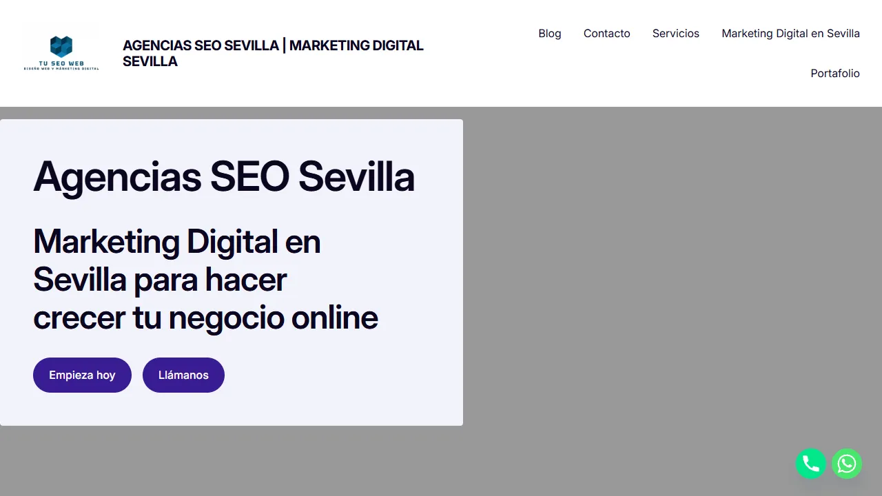 Screenshot of Tu Seo Web