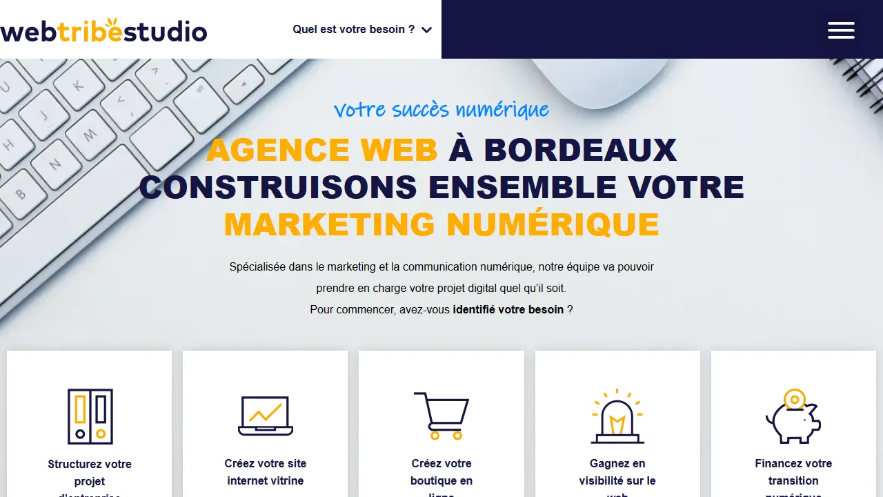 Screenshot of Web Tribe Studio