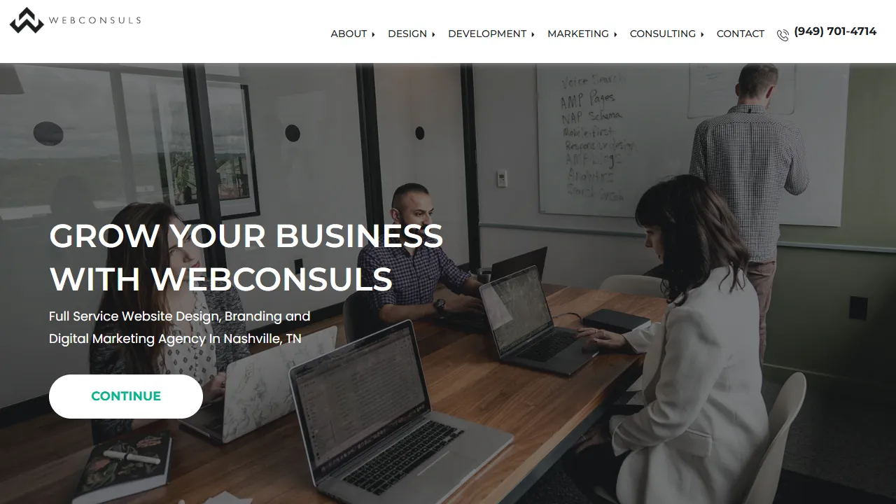 Screenshot of Webconsuls