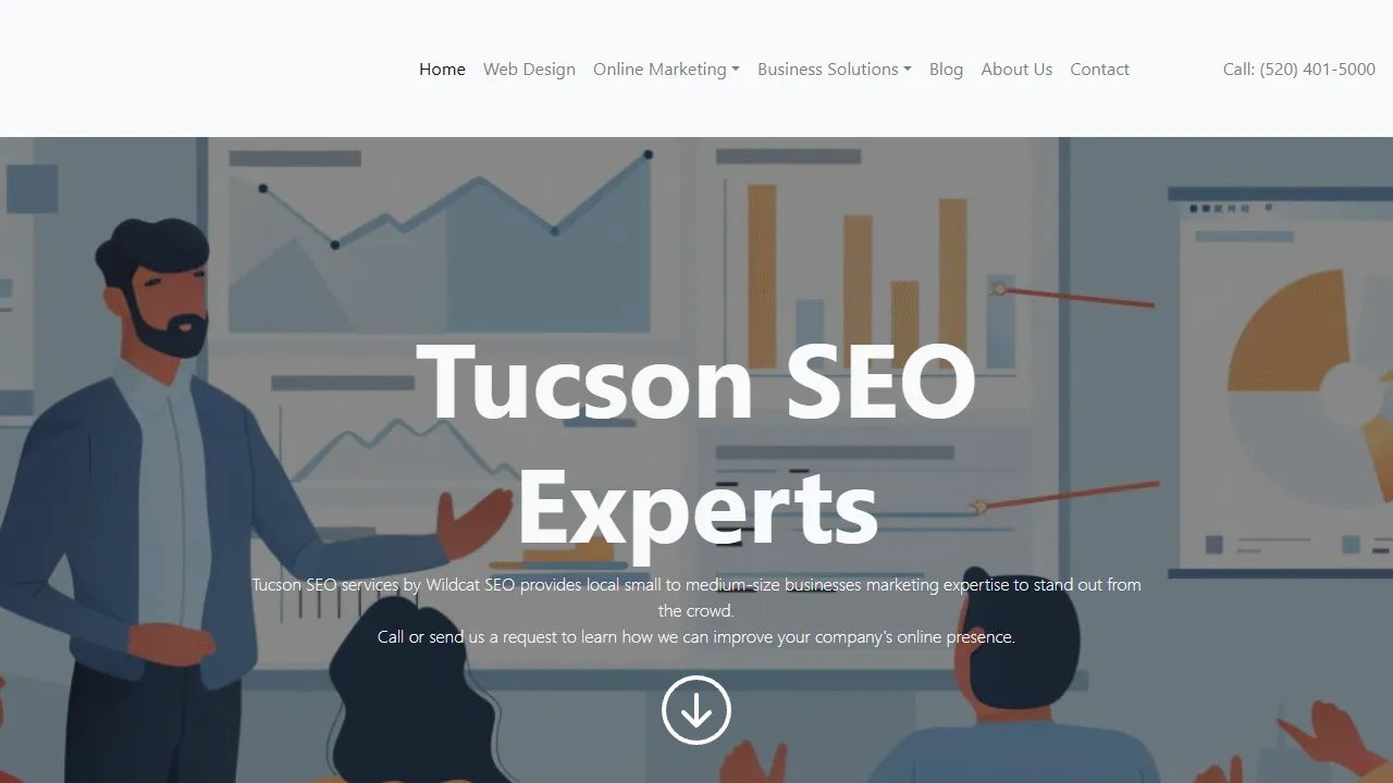 Screenshot of Wildcat SEO