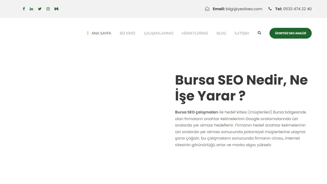 Screenshot of Yeşil SEO - Bursa SEO Uzmanı