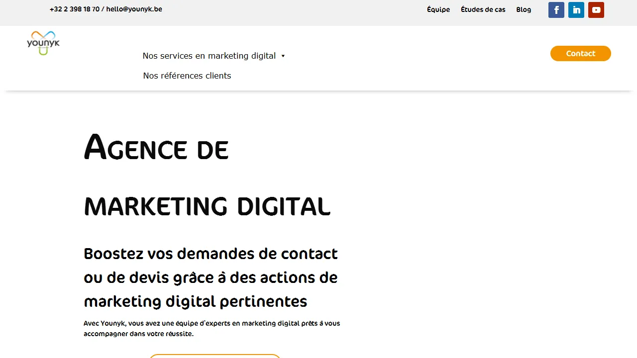 Screenshot of Younyk - Marketing Digital