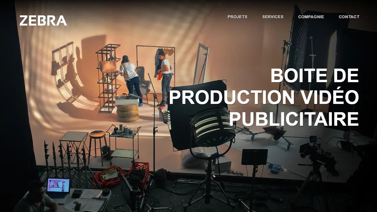 Screenshot of Zebra Media Inc